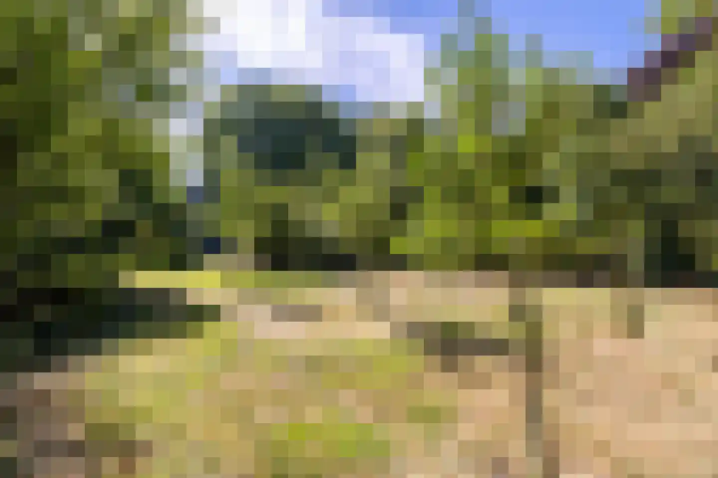 Breedenbroekseweg 3 Voorst thumbnail 90