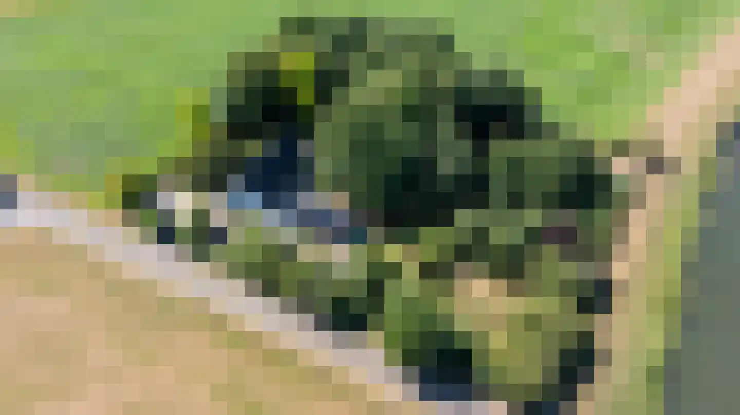 Breedenbroekseweg 3 Voorst thumbnail 96