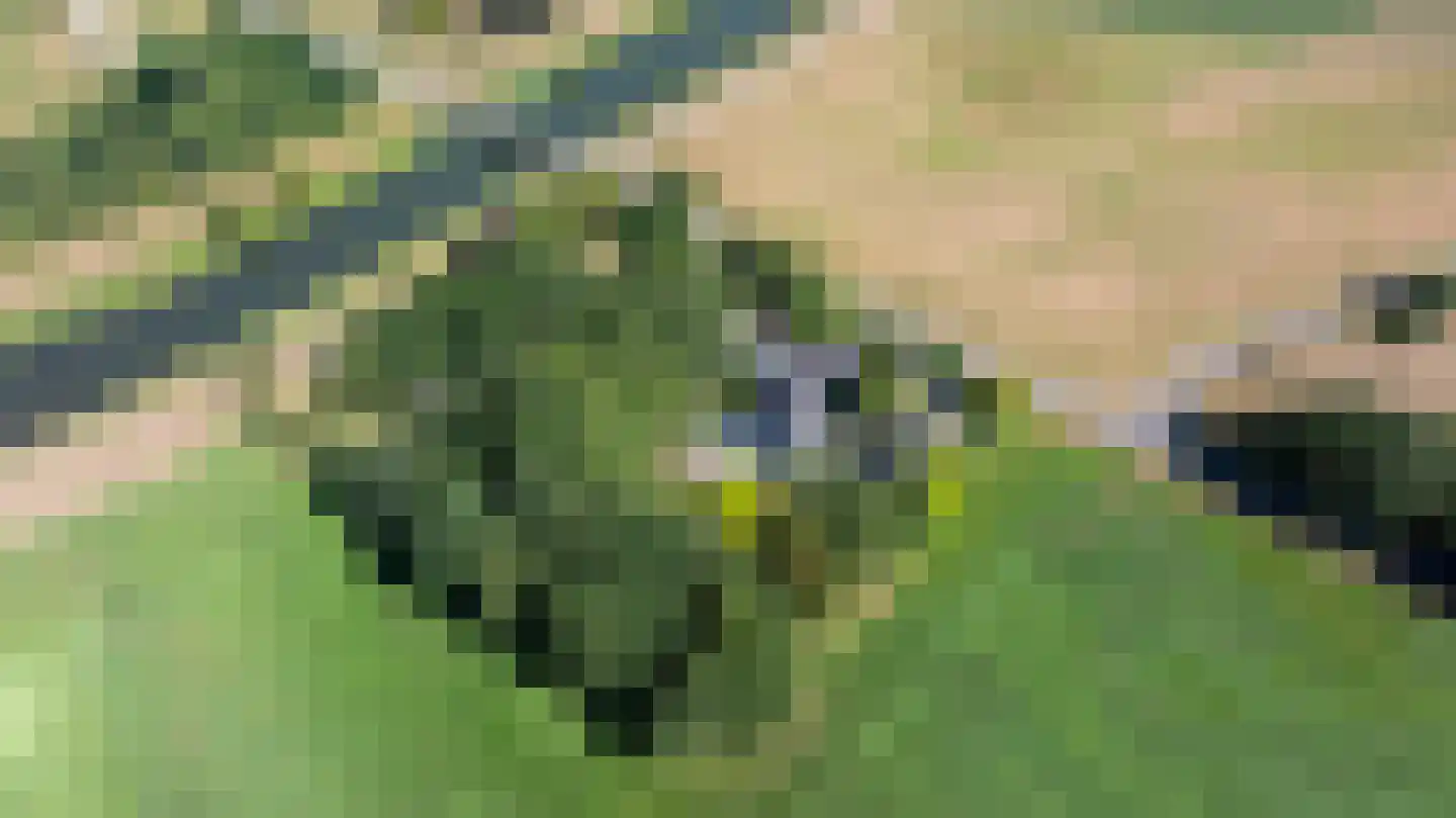 Breedenbroekseweg 3 Voorst thumbnail 97