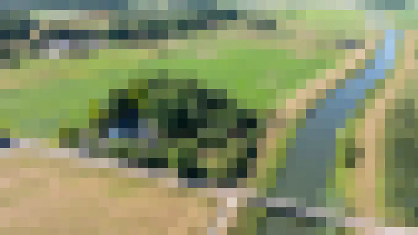 Breedenbroekseweg 3 Voorst thumbnail 98