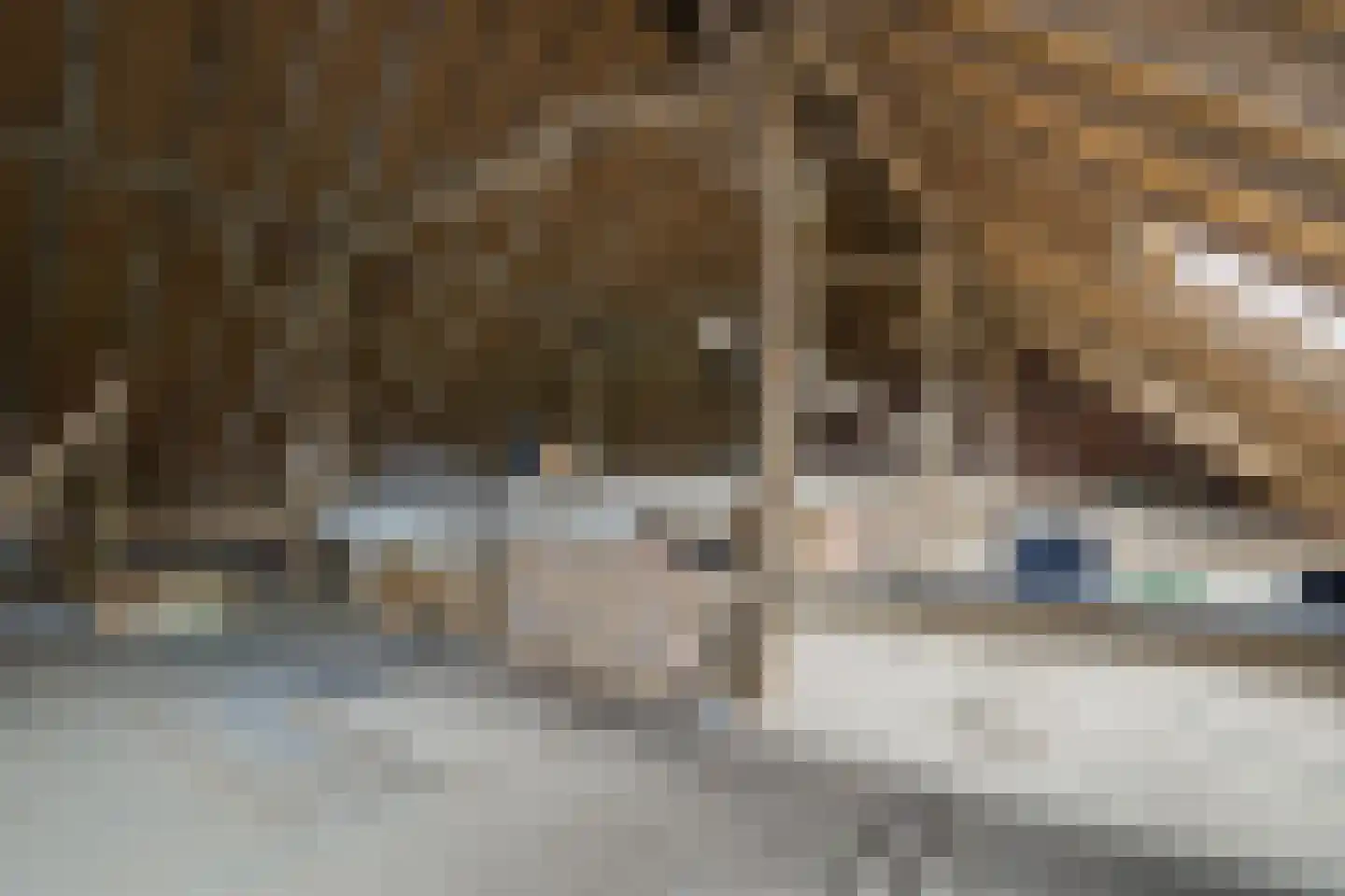 Breedenbroekseweg 8 B Voorst thumbnail 34