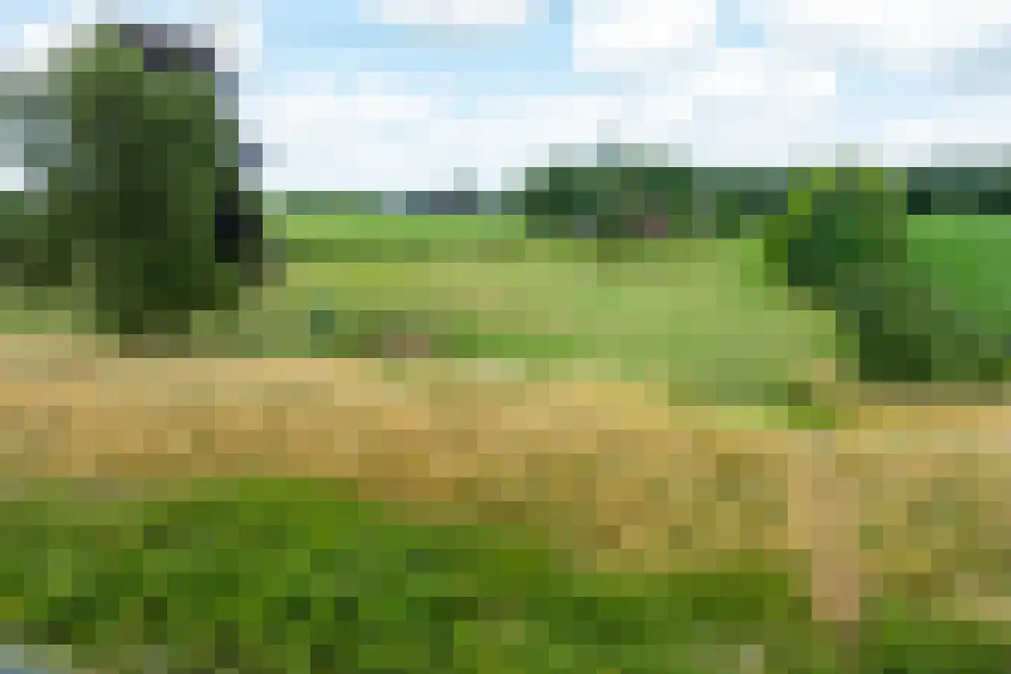 Breedenbroekseweg 8 B Voorst thumbnail 41