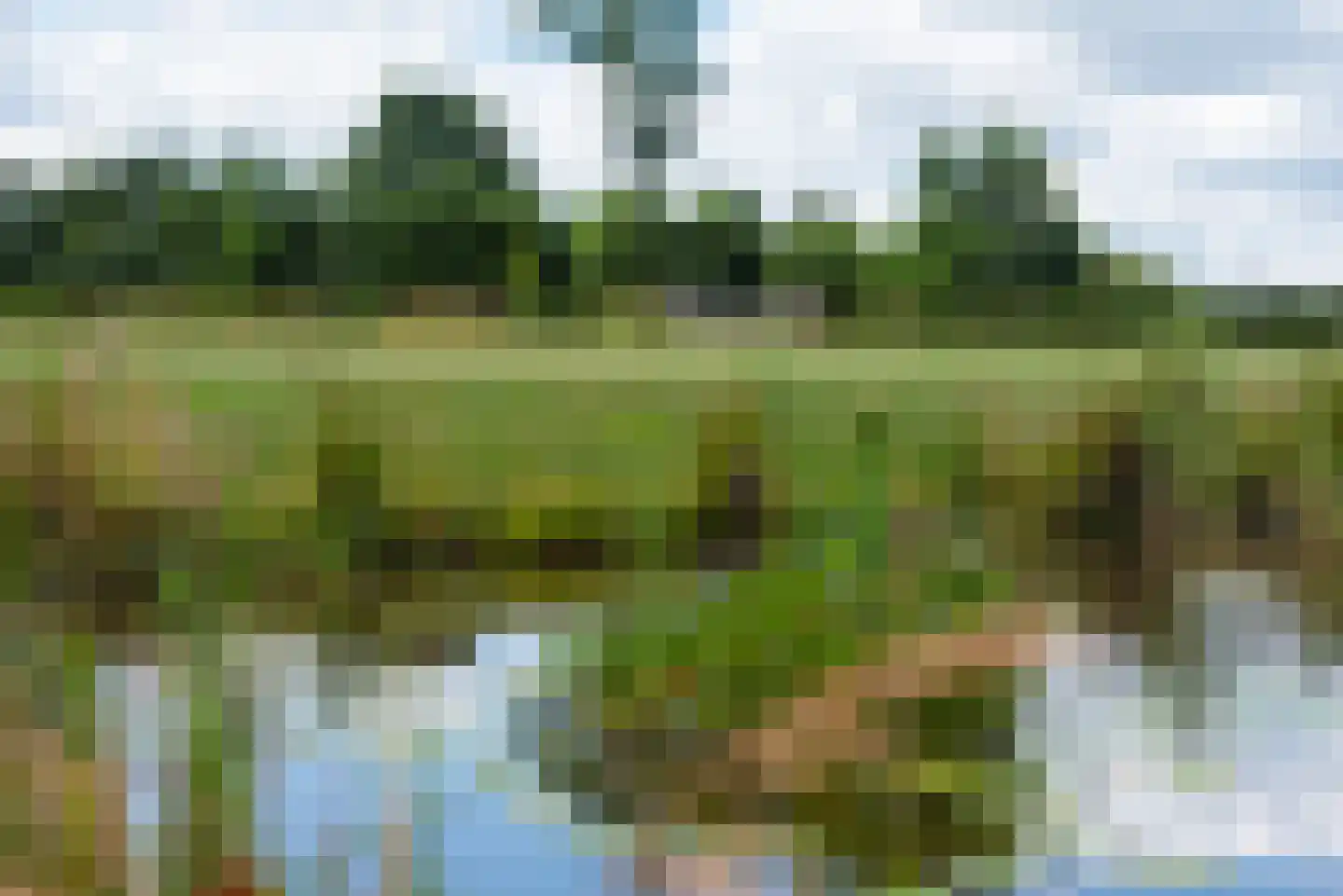 Breedenbroekseweg 8 B Voorst thumbnail 47