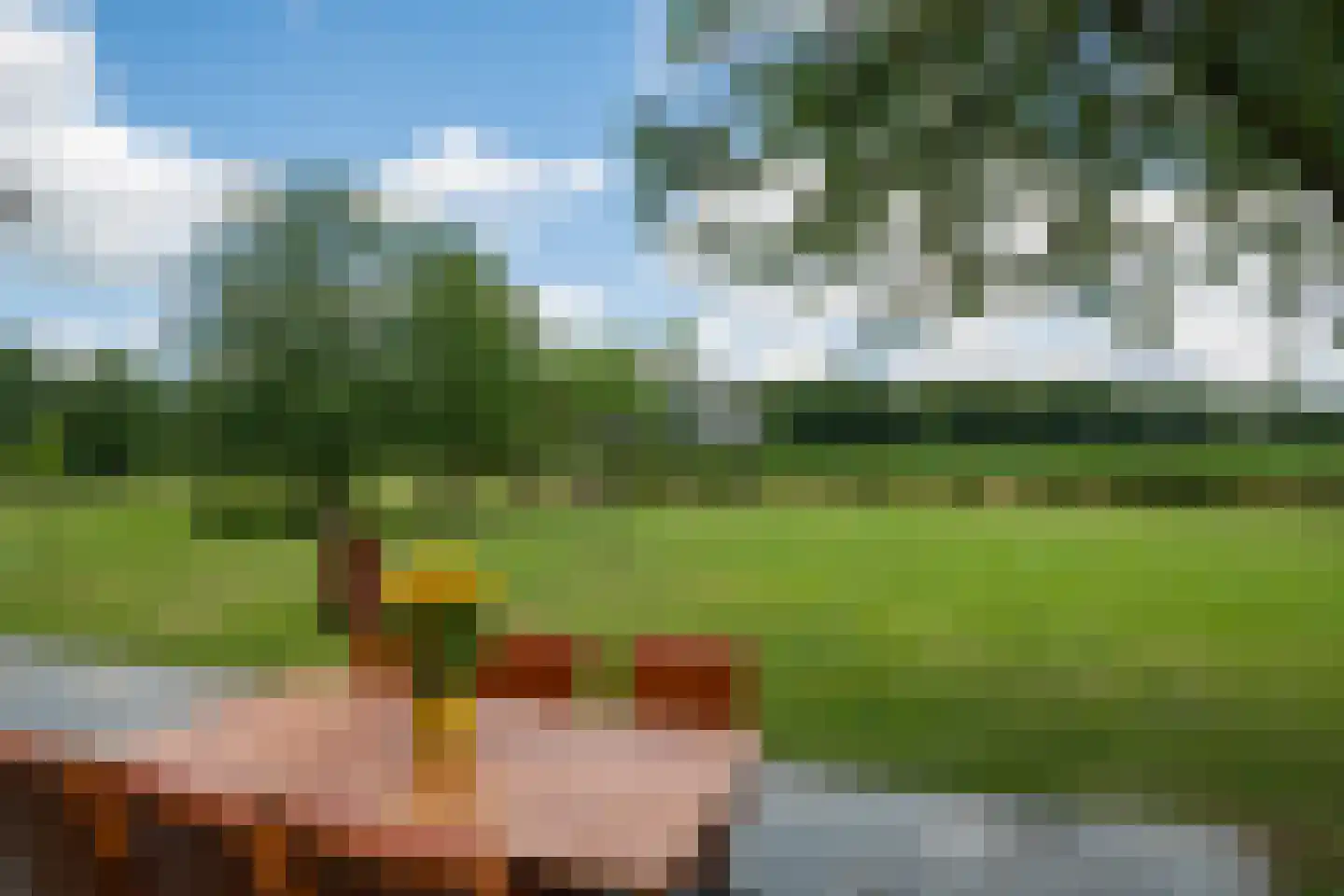 Breedenbroekseweg 8 B Voorst thumbnail 51