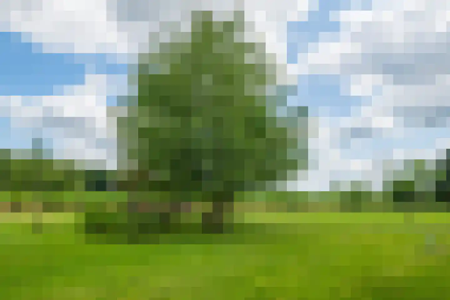 Breedenbroekseweg 8 B Voorst thumbnail 58