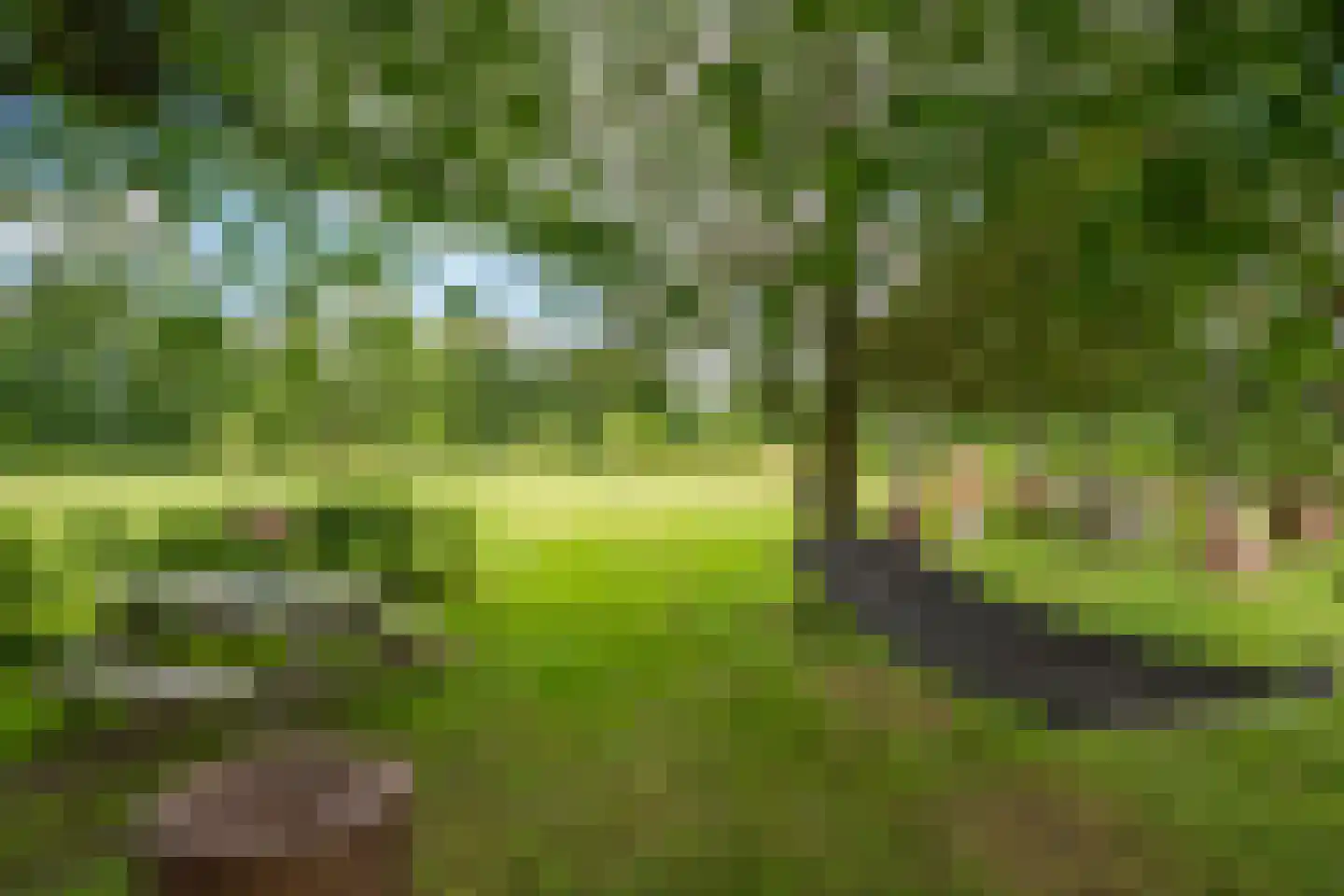 Breedenbroekseweg 8 B Voorst thumbnail 59