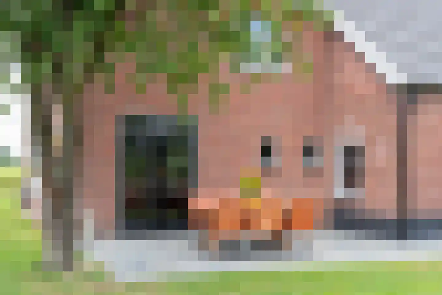 Breedenbroekseweg 8 B Voorst thumbnail 66