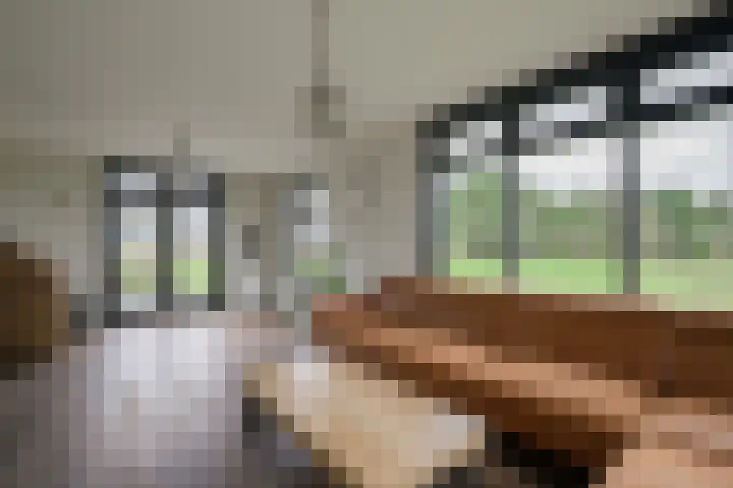 Breedenbroekseweg 8 B Voorst thumbnail 7