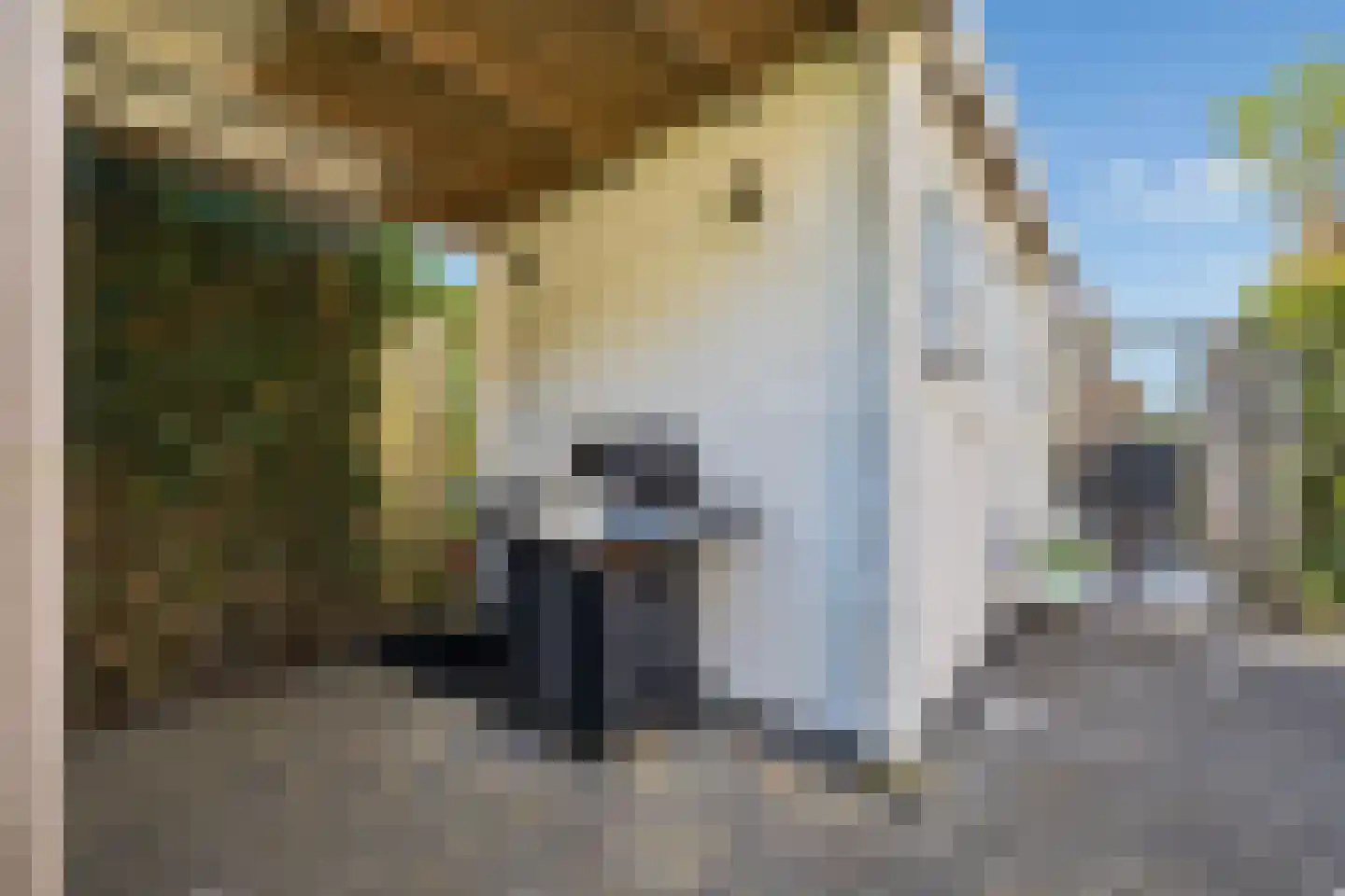 Breedenburg 42 Lelystad thumbnail 37