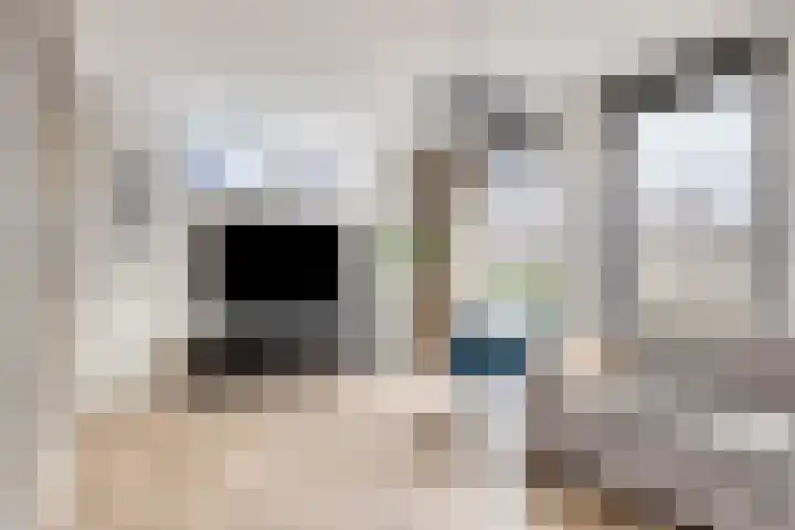 Breedencamp 21 Ewijk thumbnail 10