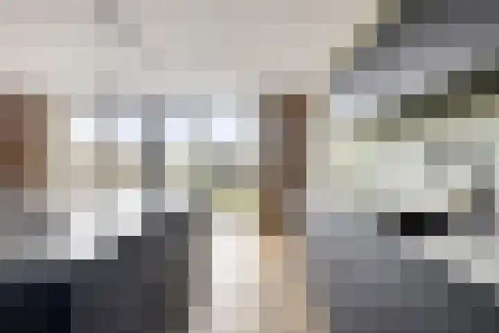 Breedencamp 21 Ewijk thumbnail 18