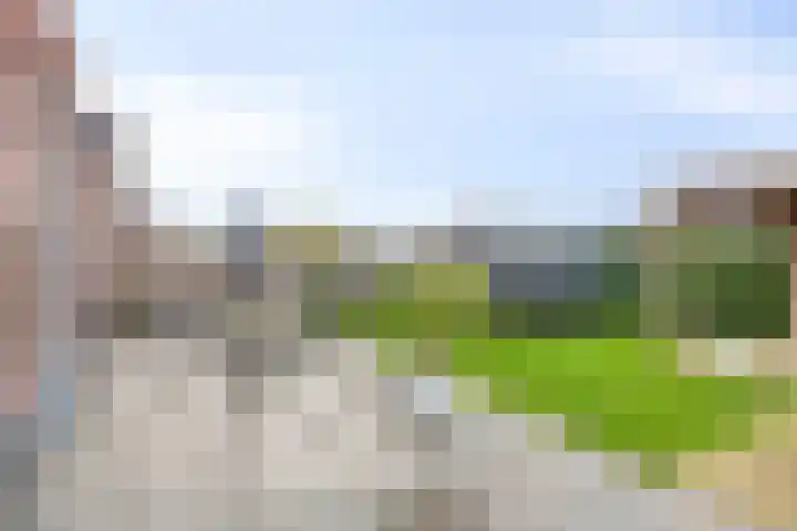 Breedencamp 21 Ewijk thumbnail 23