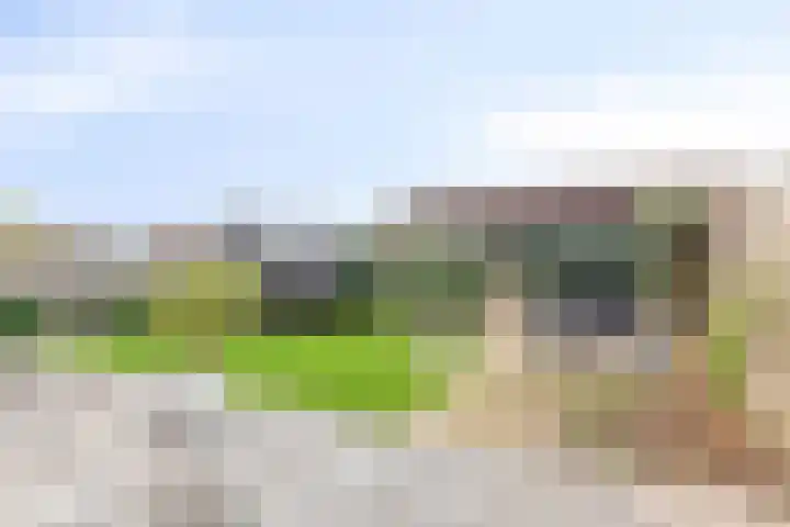 Breedencamp 21 Ewijk thumbnail 24
