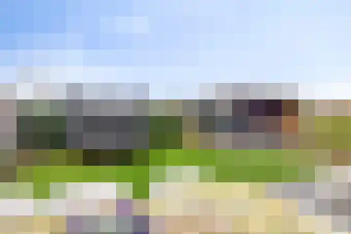 Breedencamp 21 Ewijk thumbnail 4