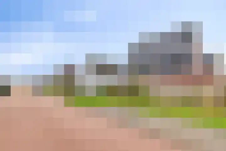 Breedencamp 21 Ewijk thumbnail 44