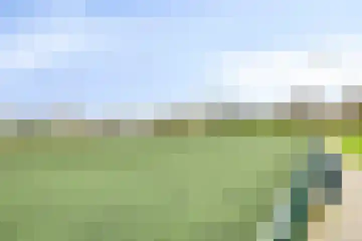Breedencamp 21 Ewijk thumbnail 48