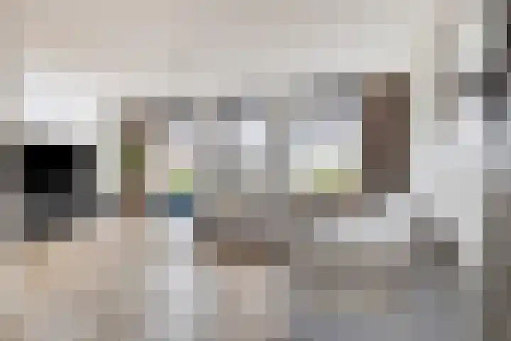 Breedencamp 21 Ewijk thumbnail 9