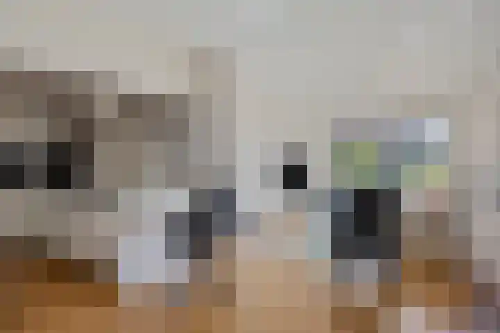 Breedendamlaan 18 Beusichem thumbnail 12