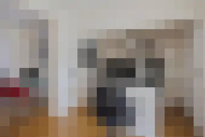 Breedendamlaan 18 Beusichem thumbnail 13