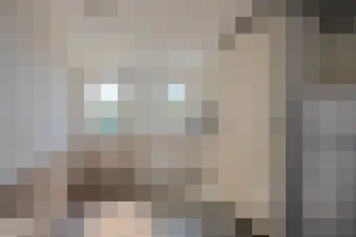 Breedendamlaan 18 Beusichem thumbnail 18