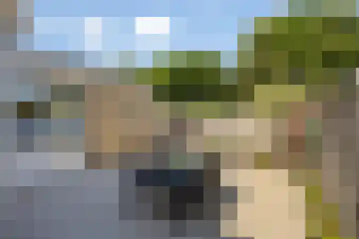 Breedendamlaan 18 Beusichem thumbnail 4
