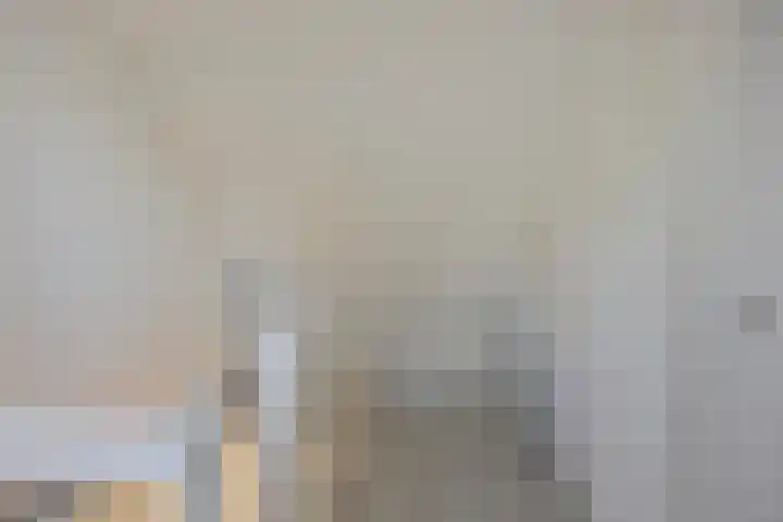 Breedendamlaan 18 Beusichem thumbnail 41