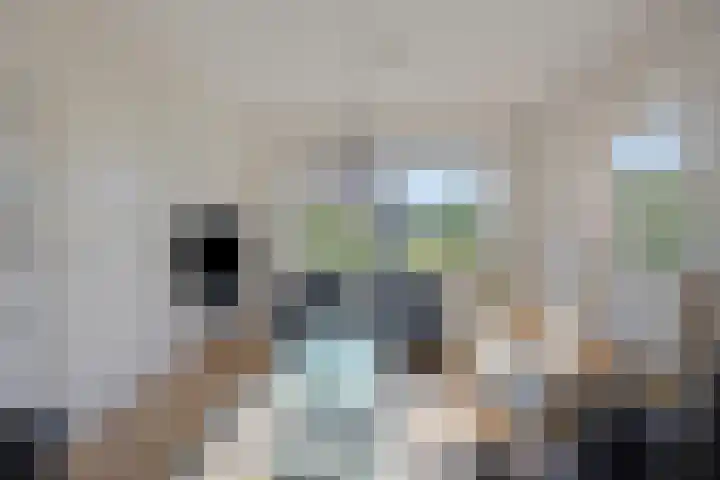 Breedendamlaan 18 Beusichem thumbnail 6