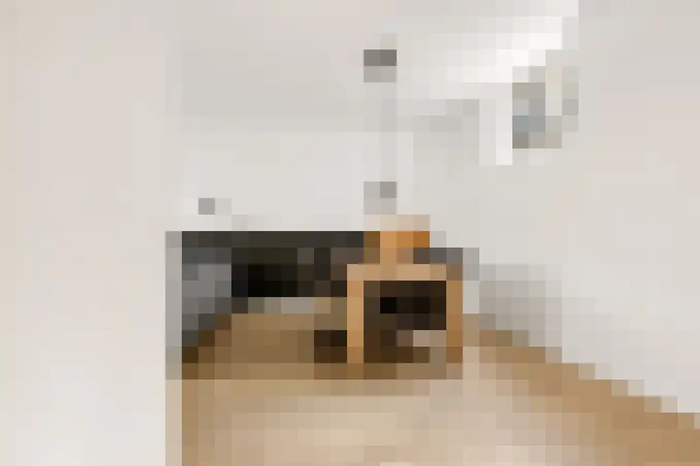 Breedesteeg 1 01 Kampen thumbnail 12