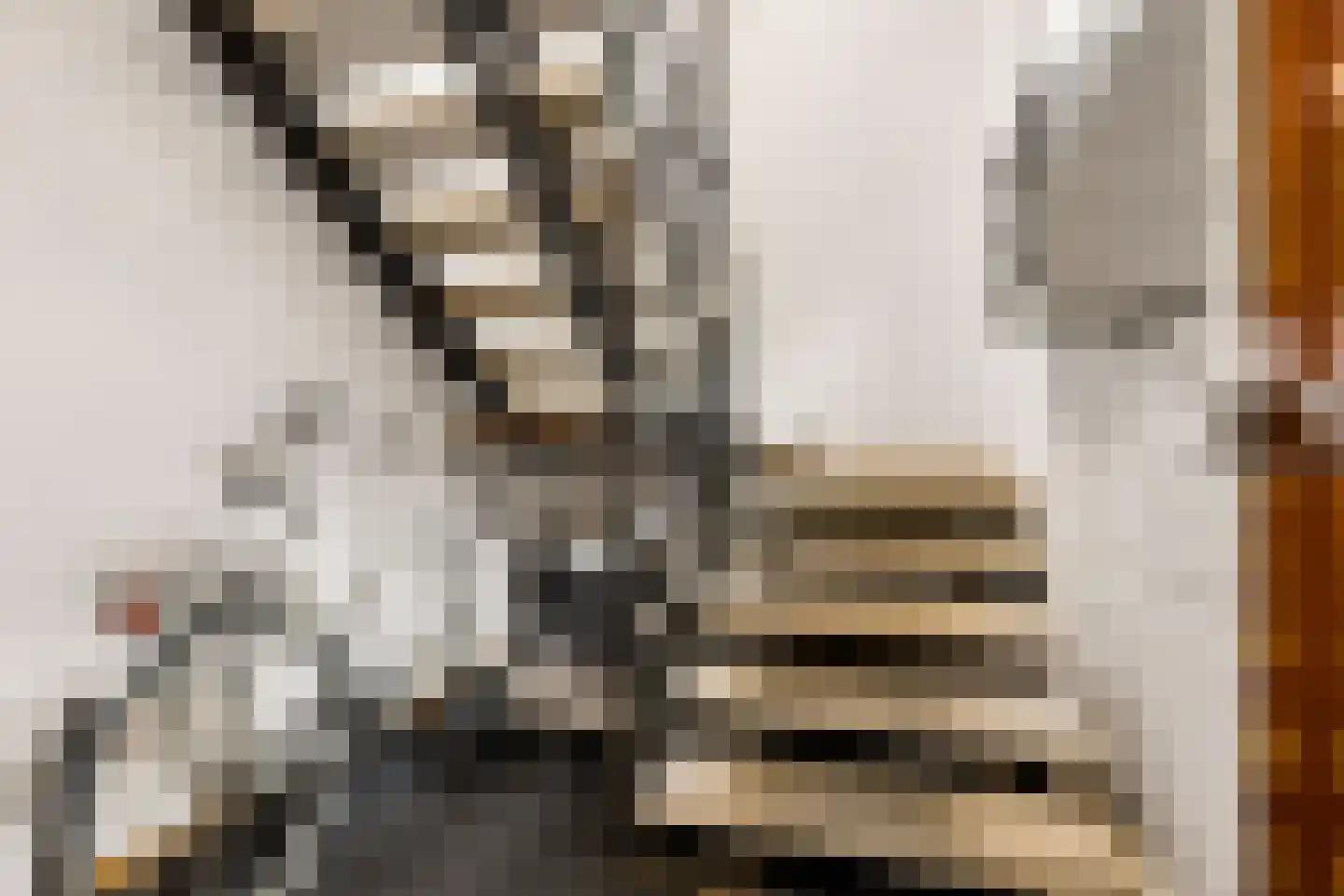 Breedesteeg 1 01 Kampen thumbnail 6