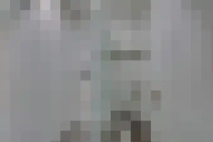 Breedesteeg 1 02 Kampen thumbnail 11