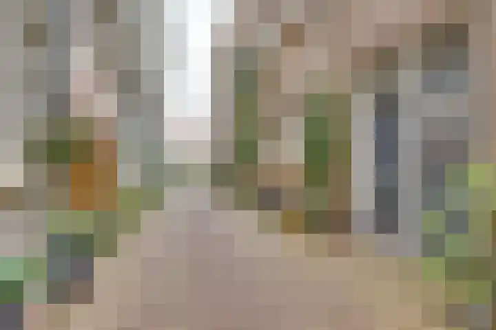 Breedesteeg 1 02 Kampen thumbnail 19