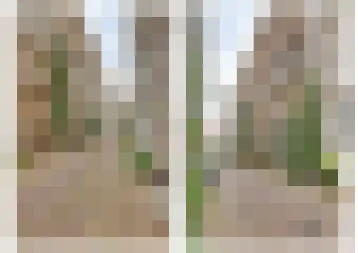 Breedesteeg 1 02 Kampen thumbnail 21