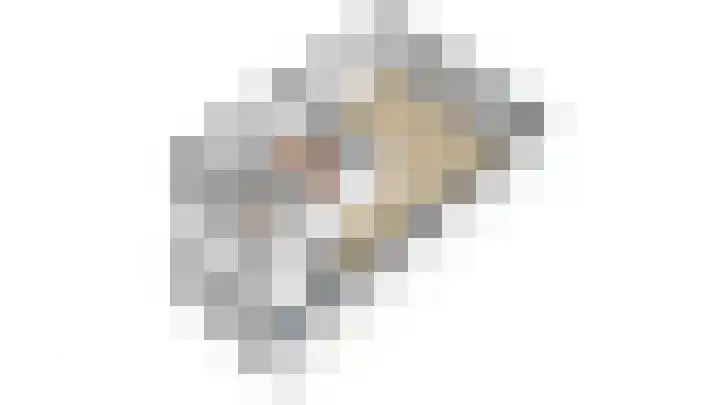 Breedesteeg 1 02 Kampen thumbnail 24