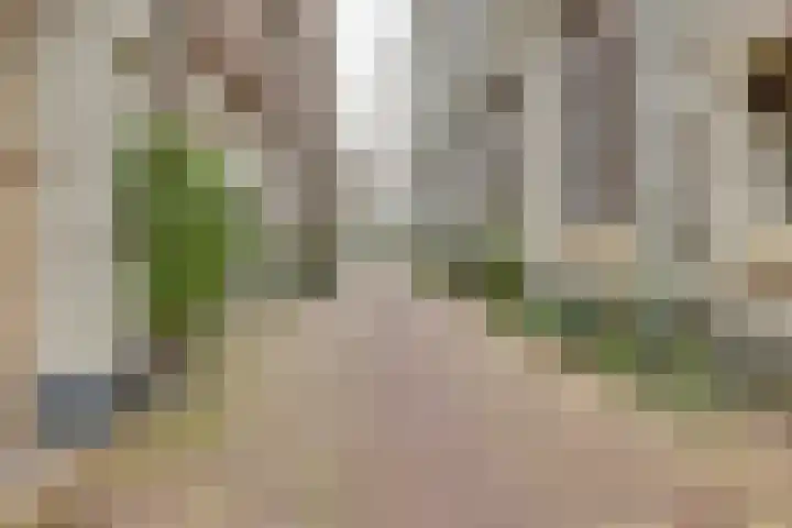 Breedesteeg 18 Kampen thumbnail 38