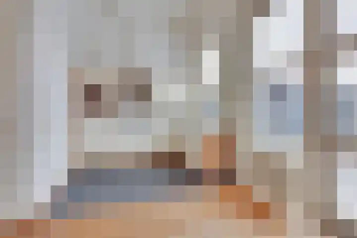 Breedesteeg 18 Kampen thumbnail 4