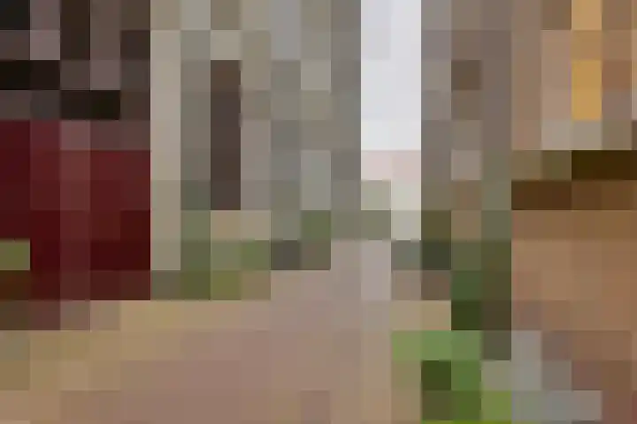 Breedesteeg 18 Kampen thumbnail 8