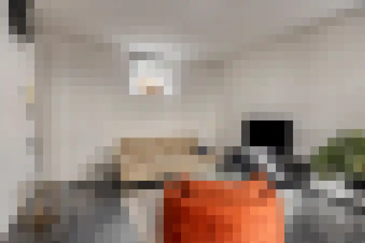 Breedesteeg 3 01 Kampen thumbnail 16
