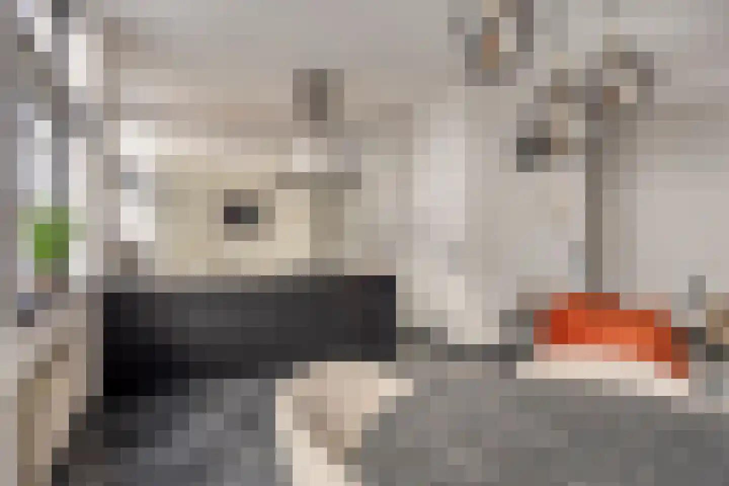 Breedesteeg 3 01 Kampen thumbnail 22