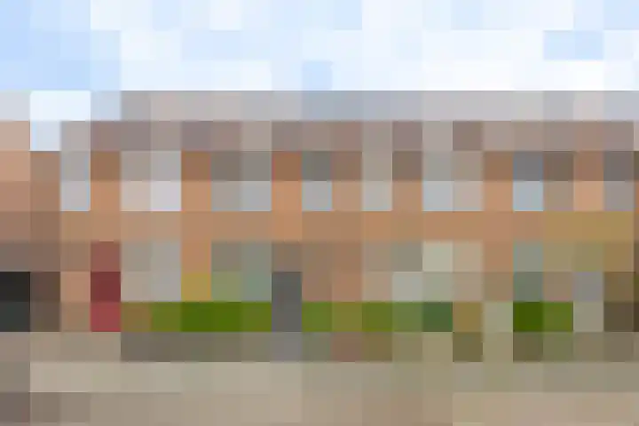 Breedewaij 24 Hardinxveld-Giessendam thumbnail 21