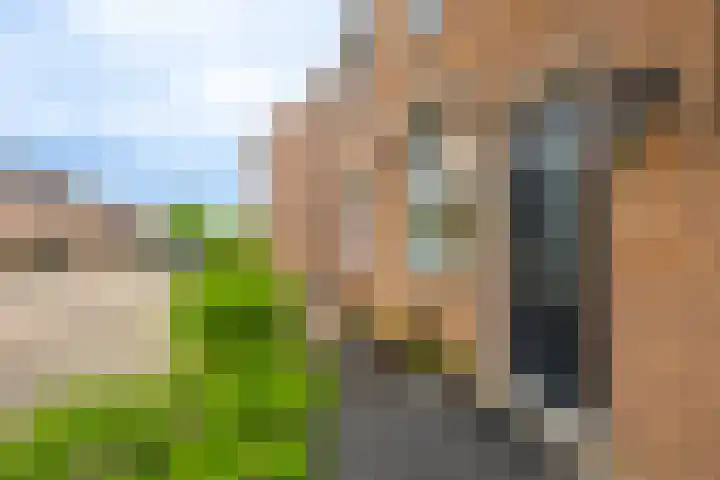 Breedewaij 24 Hardinxveld-Giessendam thumbnail 22