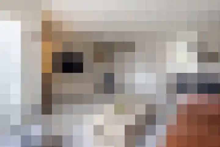 Breedewaij 24 Hardinxveld-Giessendam thumbnail 5