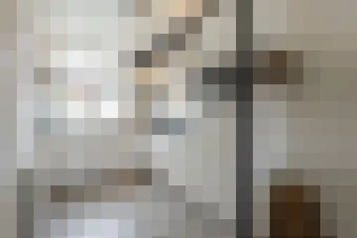 Breedewaij 24 Hardinxveld-Giessendam thumbnail 7
