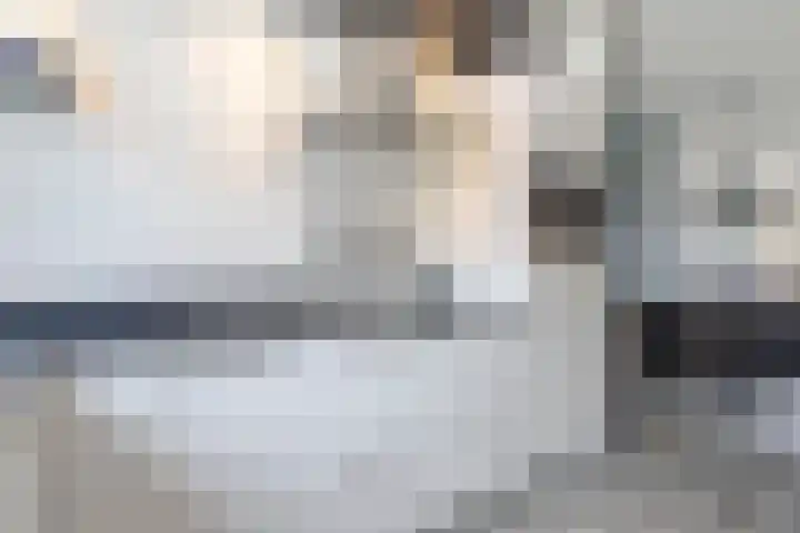 Breedewaij 24 Hardinxveld-Giessendam thumbnail 8