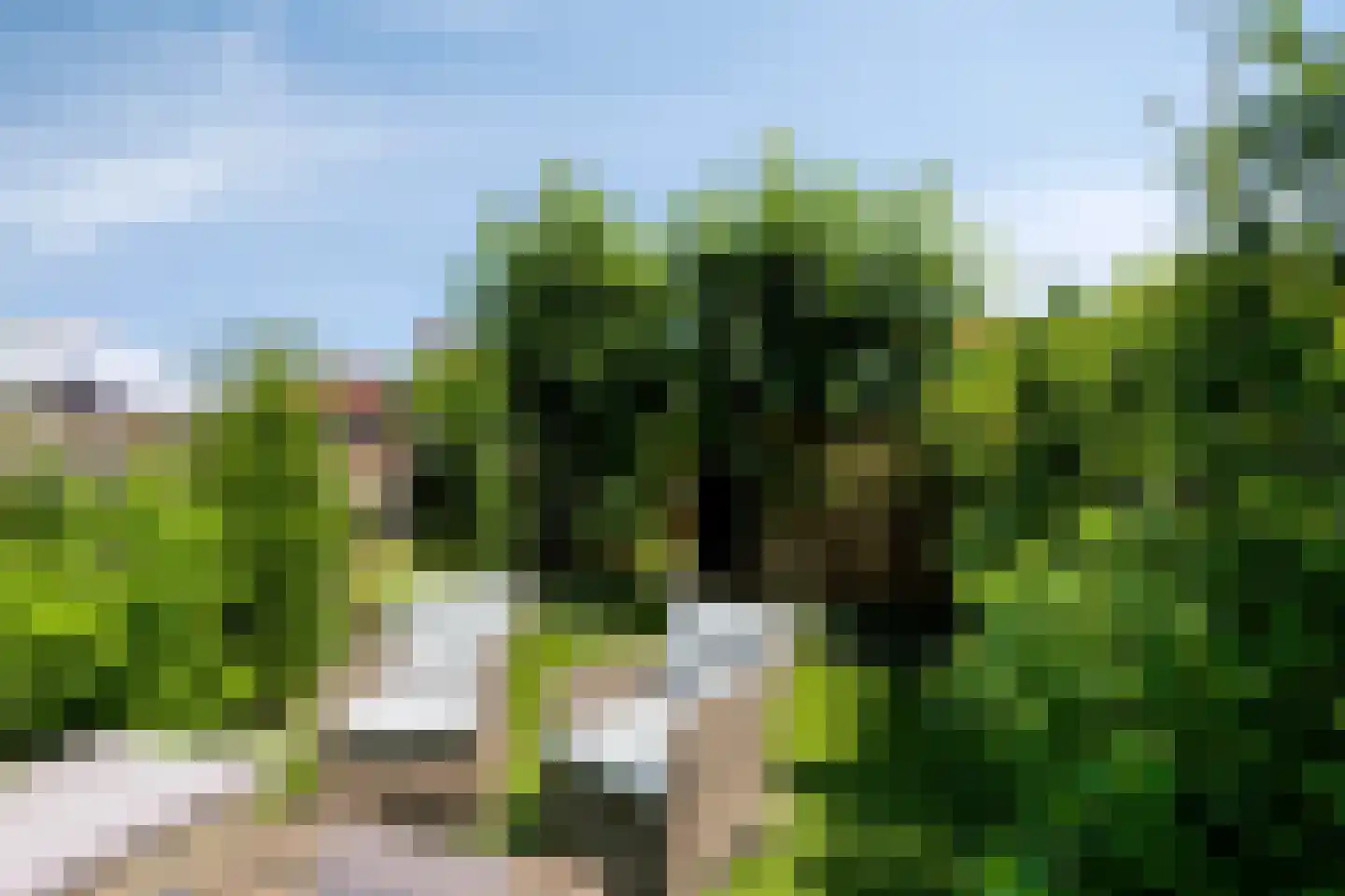 Breedewaij 28 Hardinxveld-Giessendam thumbnail 38