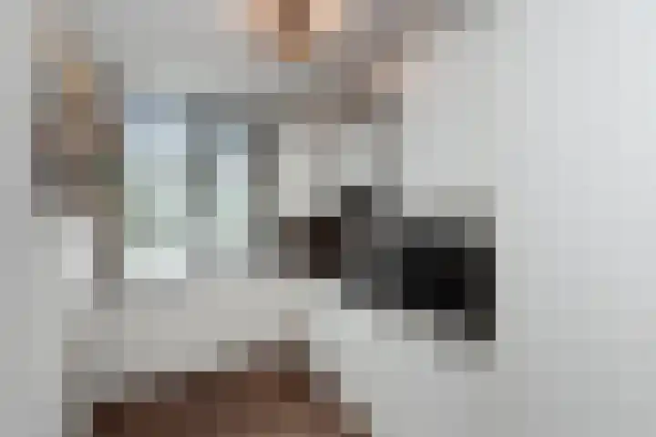 Breedewaij 3 Hardinxveld-Giessendam thumbnail 11
