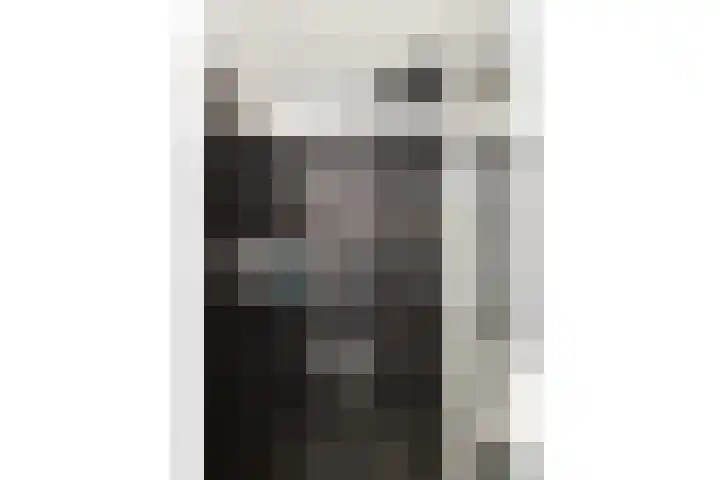 Breedewaij 3 Hardinxveld-Giessendam thumbnail 23