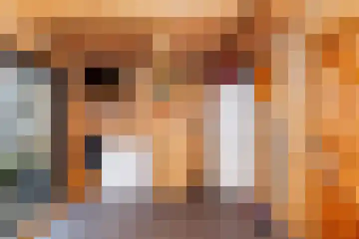 Breedewaij 3 Hardinxveld-Giessendam thumbnail 30