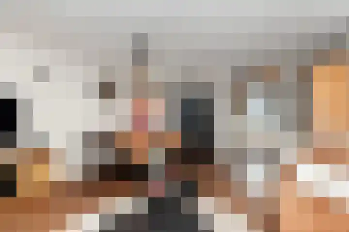Breedewaij 3 Hardinxveld-Giessendam thumbnail 8