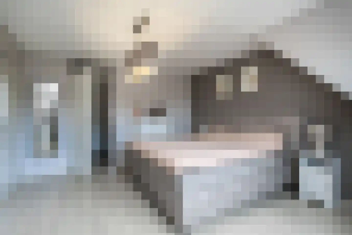 Breedewaij 47 Hardinxveld-Giessendam thumbnail 20