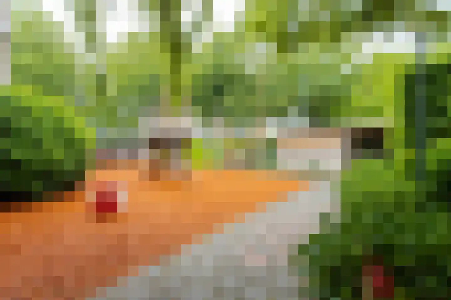 Breedewaij 47 Hardinxveld-Giessendam thumbnail 37